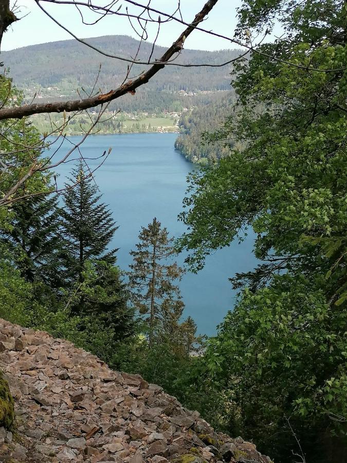 זונרופט-לונז'מר Chalet Au Bord Du Lac De Longemer מראה חיצוני תמונה