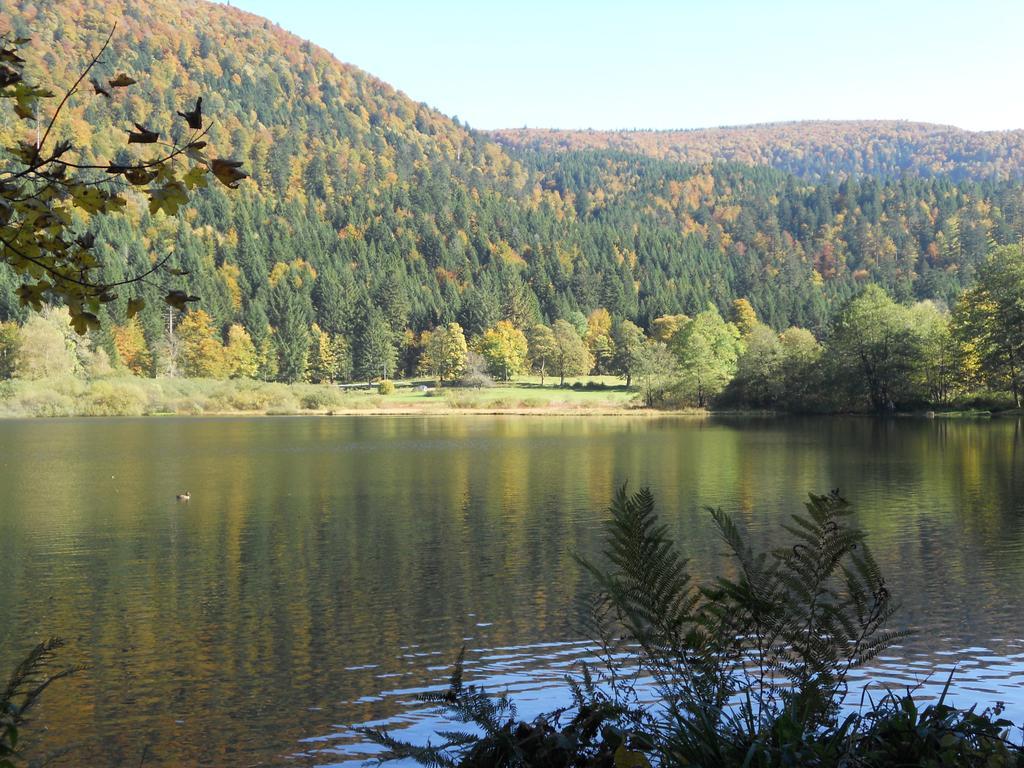 זונרופט-לונז'מר Chalet Au Bord Du Lac De Longemer חדר תמונה