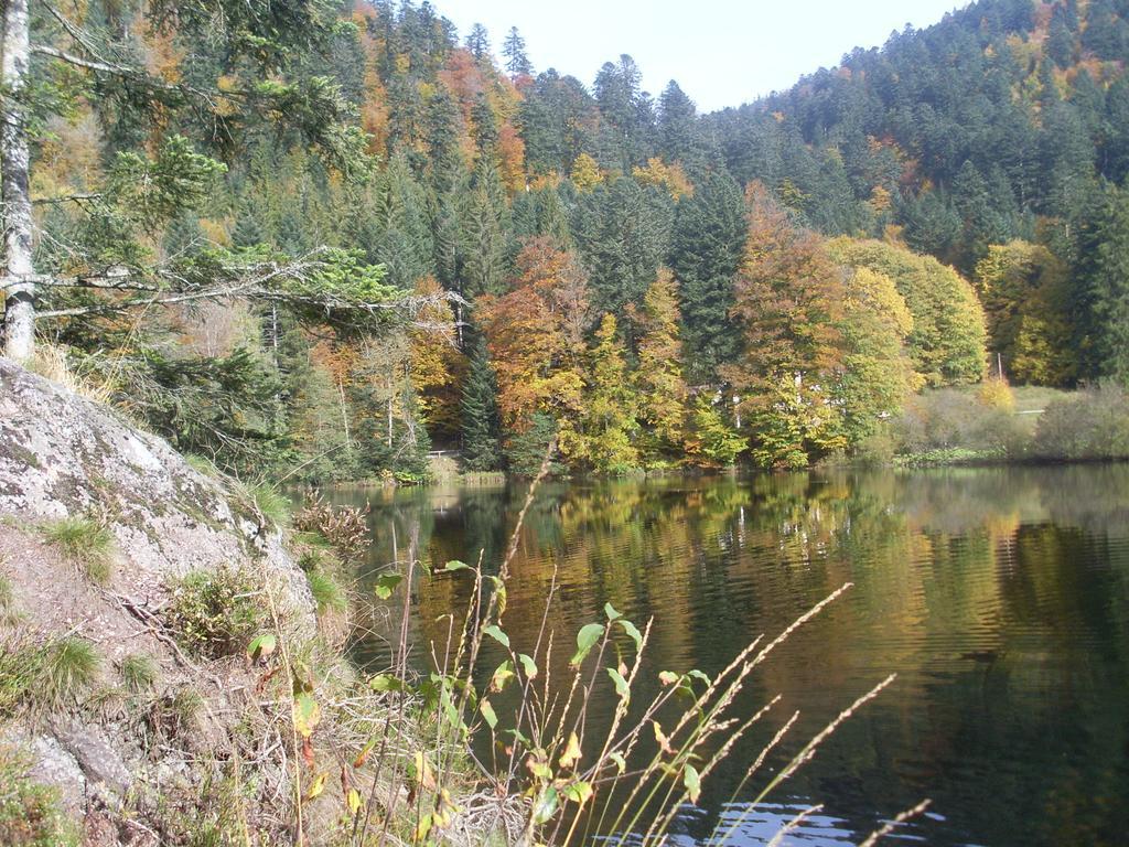 זונרופט-לונז'מר Chalet Au Bord Du Lac De Longemer חדר תמונה