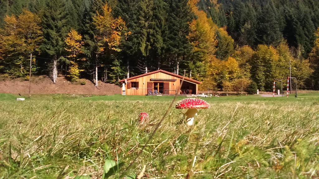 זונרופט-לונז'מר Chalet Au Bord Du Lac De Longemer מראה חיצוני תמונה