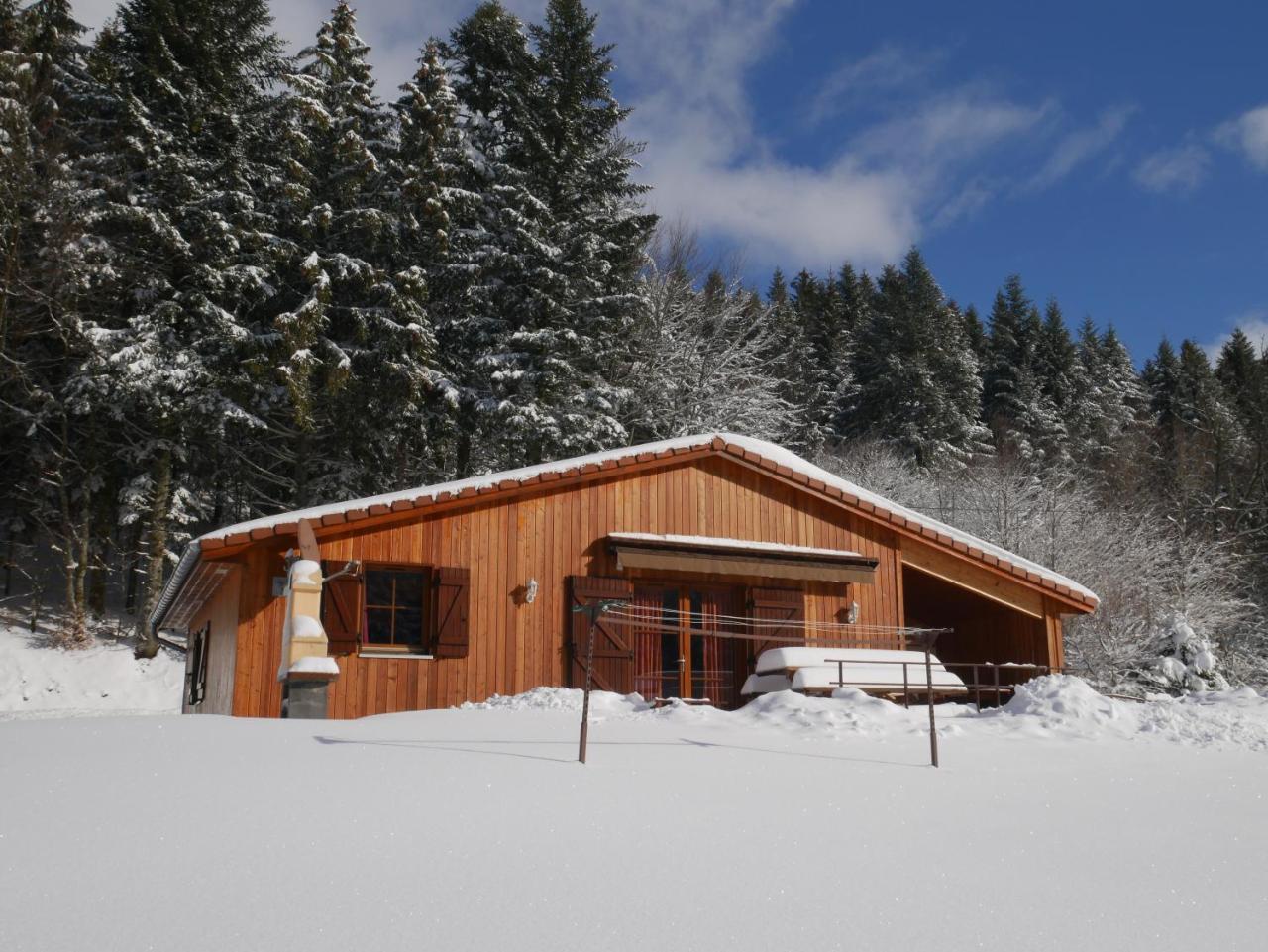 זונרופט-לונז'מר Chalet Au Bord Du Lac De Longemer מראה חיצוני תמונה