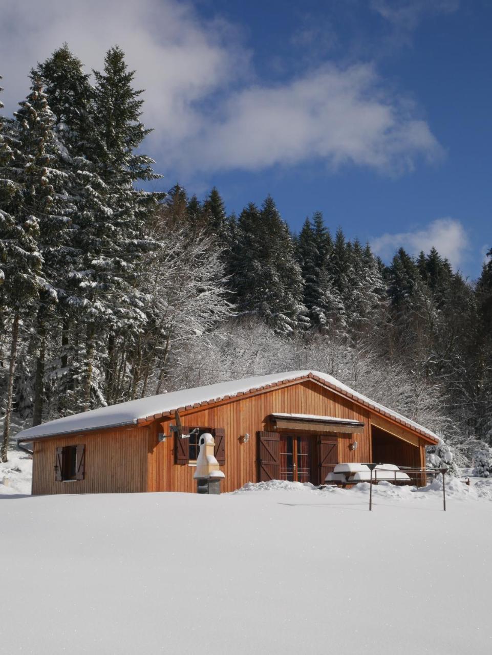 זונרופט-לונז'מר Chalet Au Bord Du Lac De Longemer מראה חיצוני תמונה